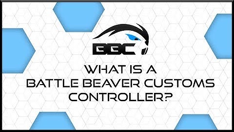 What is a Battle Beaver Customs Controller - Options Explained