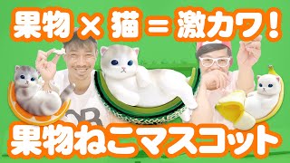 【果物ねこ】フルーツと子猫の融合はカワイイのだ！そうだ！そうだ！