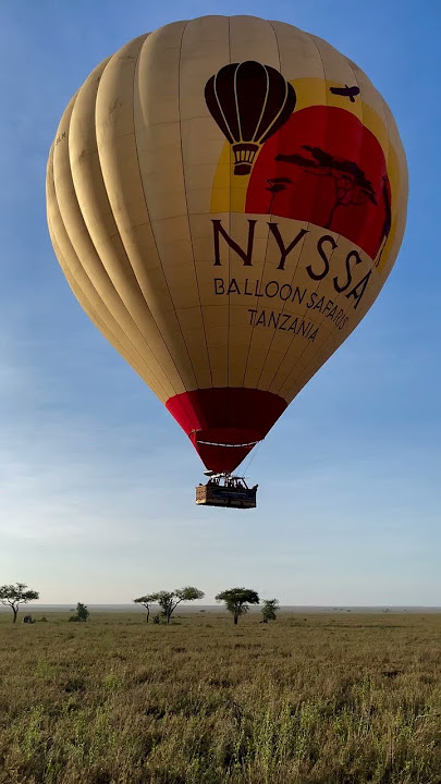AFRICAN SAFARI ENHANCEMENTS / EXPERIENCES:📍 Serengeti National Park, Tanzania, Africa.