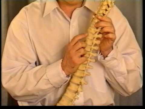 reflexology spa Important advice for a healthy back