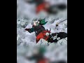 تغير صوت باغوكو في سبيستون بوكو نو هيرو مدبلج بوكونو هيرو باغوكو سبيس باور  انمي
