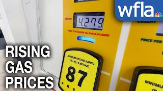 Impact of rising gas prices across Florida
