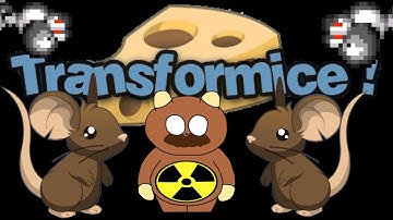 Transformice | Random Gameplay