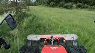 Ähen&Kreiseln &Tedding