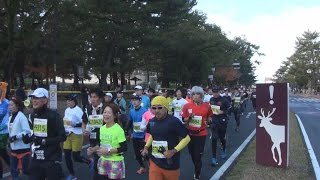 ランナー１万人超、古都駆ける　奈良マラソン開催