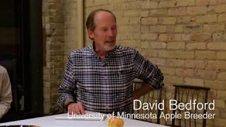 Think & Link for a Living: David Bedford