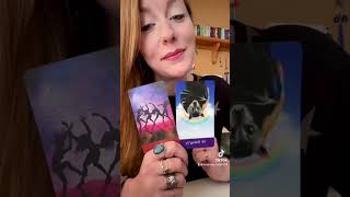 4 of wands! UNION ENERGY! ☯️🦋🦢🕊️🌎🥰General LOVE Reading 🥰🌎🕊️🦢🦋☯️