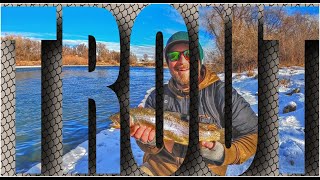 How to catch & cook HUGE TROUT from the river during Winter! ( Snake River, Idaho)