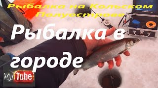 Рыбалка на Кольском Полуострове.  Рыбалка в городе Мончегорске. Ловля сига.