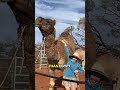 crazy facts about world #facts #country #funny #shorts #trending