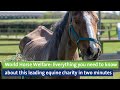 World Horse Welfare: Everything you need to know about this leading equine charity in two minutes