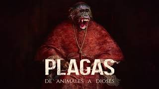 Plagas - La Sexta Extinción