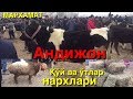 Мол БОЗОР нархлари.Мархамат.АНДИЖОН хаммасидан бор !