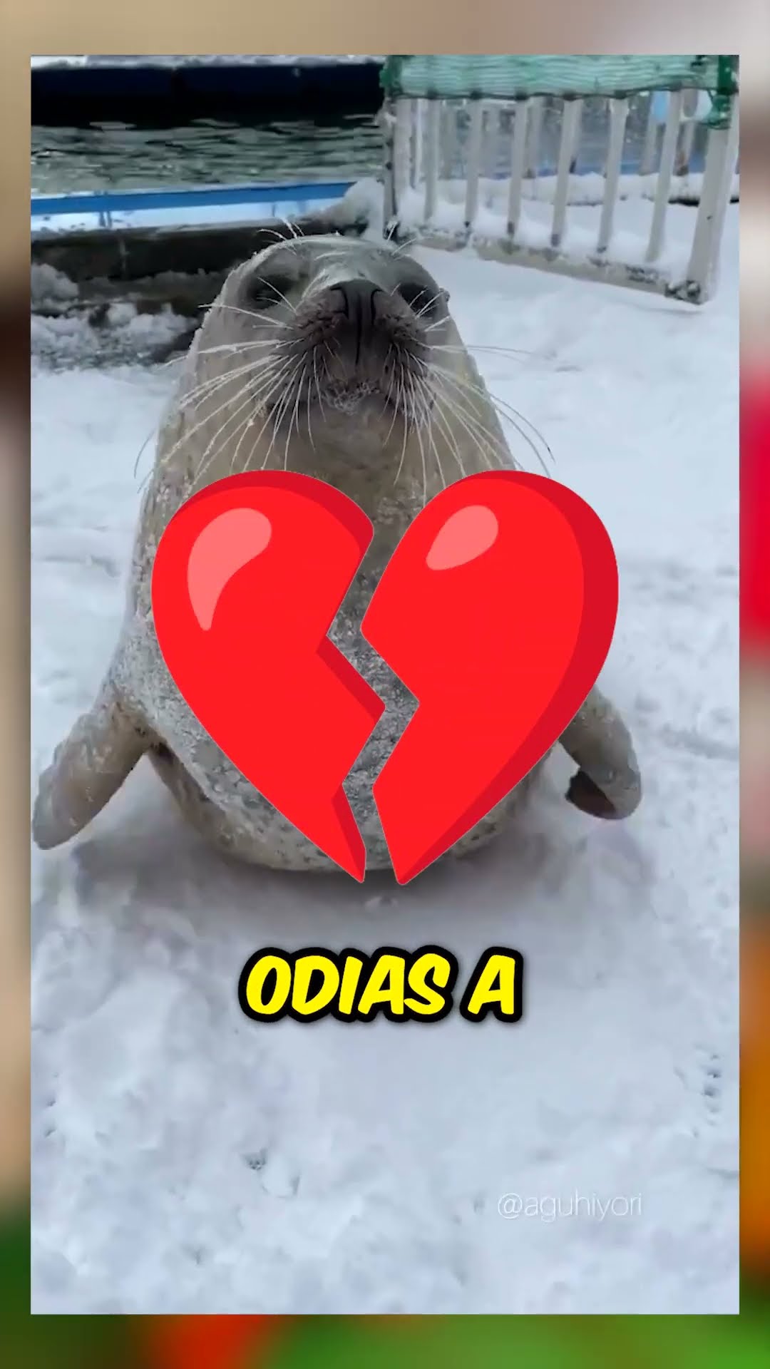 ¡Los peces zombie existen! ?‍♂️?