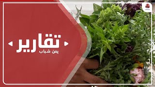 المشاقر ... عطور طبيعية وزينة المرأة اليمنية منذ القدم