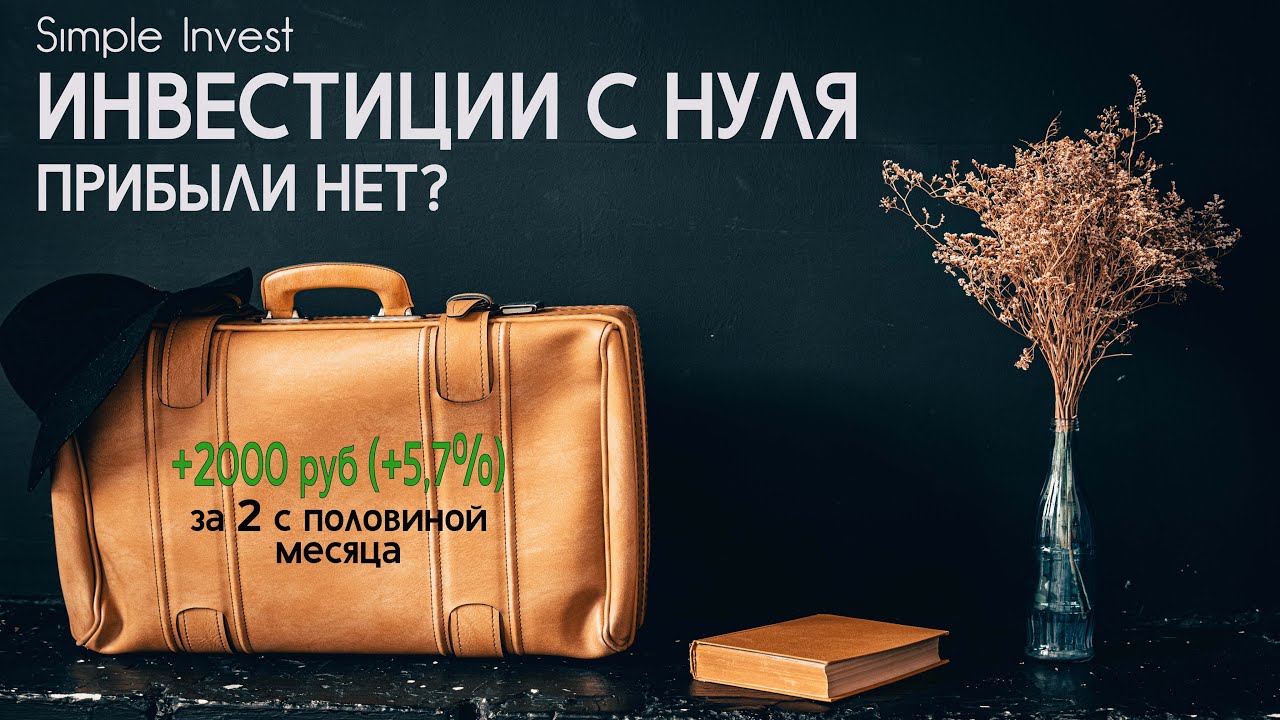 Каско на месяц тинькофф