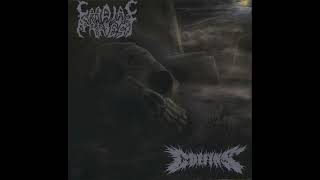 Cardiac Arrest / Coffins - Split 7 (Full EP)
