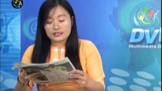 DVB - Newspaper A 20141004