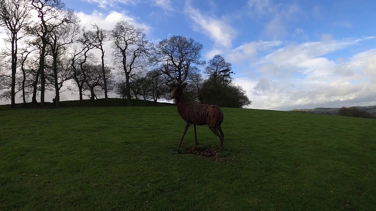 Stoke Hill and Woods   HD 1080p