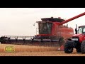 Nueva Case IH AxialFlow Serie 150 y 250: La cosecha automatizada llega a Argentina (#926 2021-05-01)