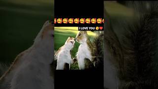 khandesh funny 🤣🤣 video #shorts #funny #viral