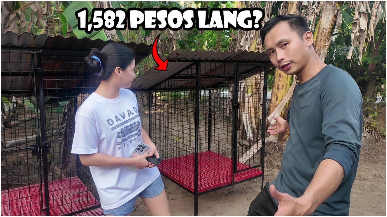 Photo inspiration: Gallery Detail: Pano Gumawa Ng Low Cost 3X3 Ft Dog Kennel DIY