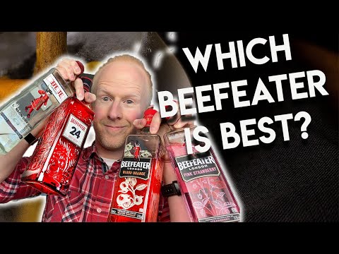 which-is-the-best-beefeater-gin?