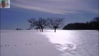 gadara gadara 2.avi