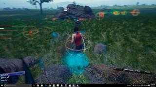 Amaranthine Story - NEW Build Combat debugging