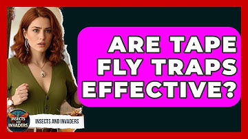 Are Tape Fly Traps Effective? - Insects and Invaders