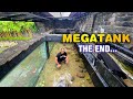 EVAKUASI ARAPAIMA & IKAN PREDATOR MONSTER : AKHIR CERITA MEGATANK