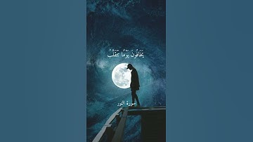 سورة النور   ماهر المعيقلي