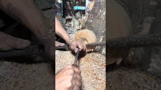 Amazing Wooden Mirror Design Made in Just 2 Minutes! #Shorts #shortsfeed