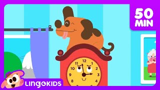 BINGO THE DOG  More Popular Songs for Kids | Lingokids