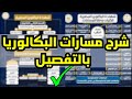 أولى بكالوريا الفرق بين مسارات البكالوريا وكلياتها ازاي تختار المسار الصح والمواد المناسبة