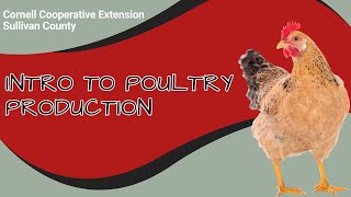 Intro to Poultry Production