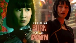 Xu Xialing Burn It All Down