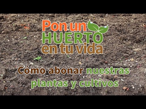 Video: Fertilizantes De Fosfato Y Potasio: 
