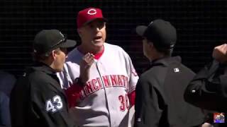 MLB Ejected Before The Game Starts