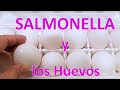 Salmonella y los Huevos - Por Qué se relacionan? │Club de Reposteria