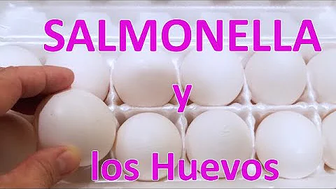 ¿Es más probable contraer Salmonella por huevos frescos?