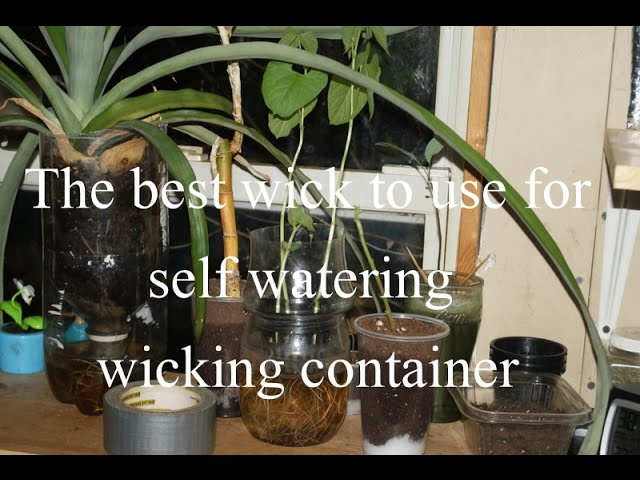 The best wick to use in self watering containers 