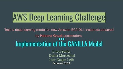 Habana Gaudi AWS Deep Learning Challenge