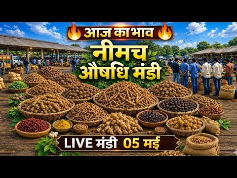 नीमच औषधि मंडी आज का ताज़ा भाव | दुर्लभ जड़ी-बूटियों की LIVE मंडी । Neemuch Mandi। Sanjay Dhakad