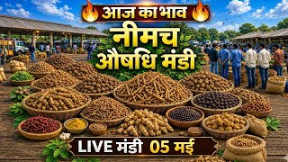 नीमच औषधि मंडी आज का ताज़ा भाव | दुर्लभ जड़ी-बूटियों की LIVE मंडी । Neemuch Mandi। Sanjay Dhakad