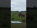 La que caida 😅