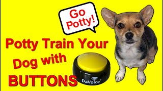 Dog Button Training  Dog Potty Training Button by DaVoice