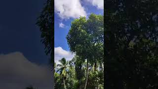 merdu sekali lantunan ayat suci Alquran dengan dihiasi pemandangan alam