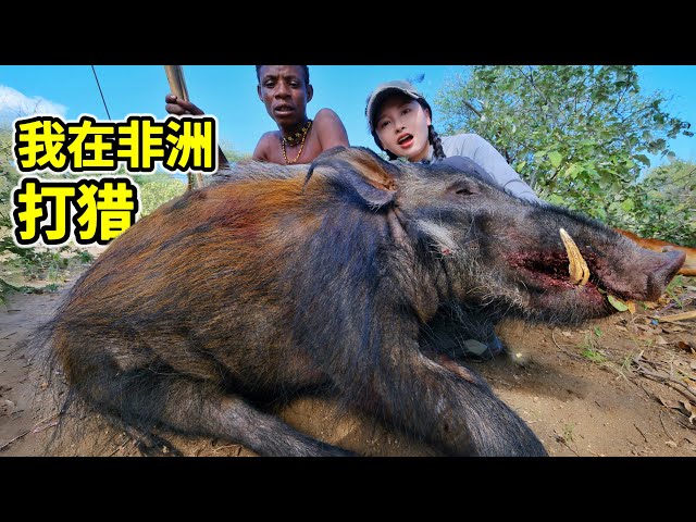 非洲打猎，荒野2天猎获150斤巨型野猪！直接整猪炭烤！| 非洲 | | 打猎 | 野猪 | 烧烤 | 哈扎比 |