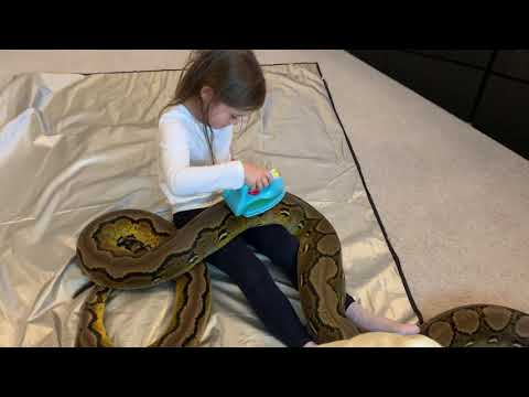 6 year old ironing out the kinks in snake handling.